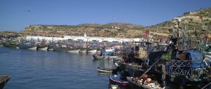 Halieutis 2017 Agadir